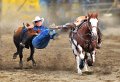 1052 - steer wrestling 3 - WONG Godfrey - united states of america